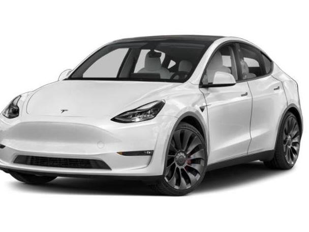 TESLA MODEL Y 2022 7SAYGAEE8NF348973 image